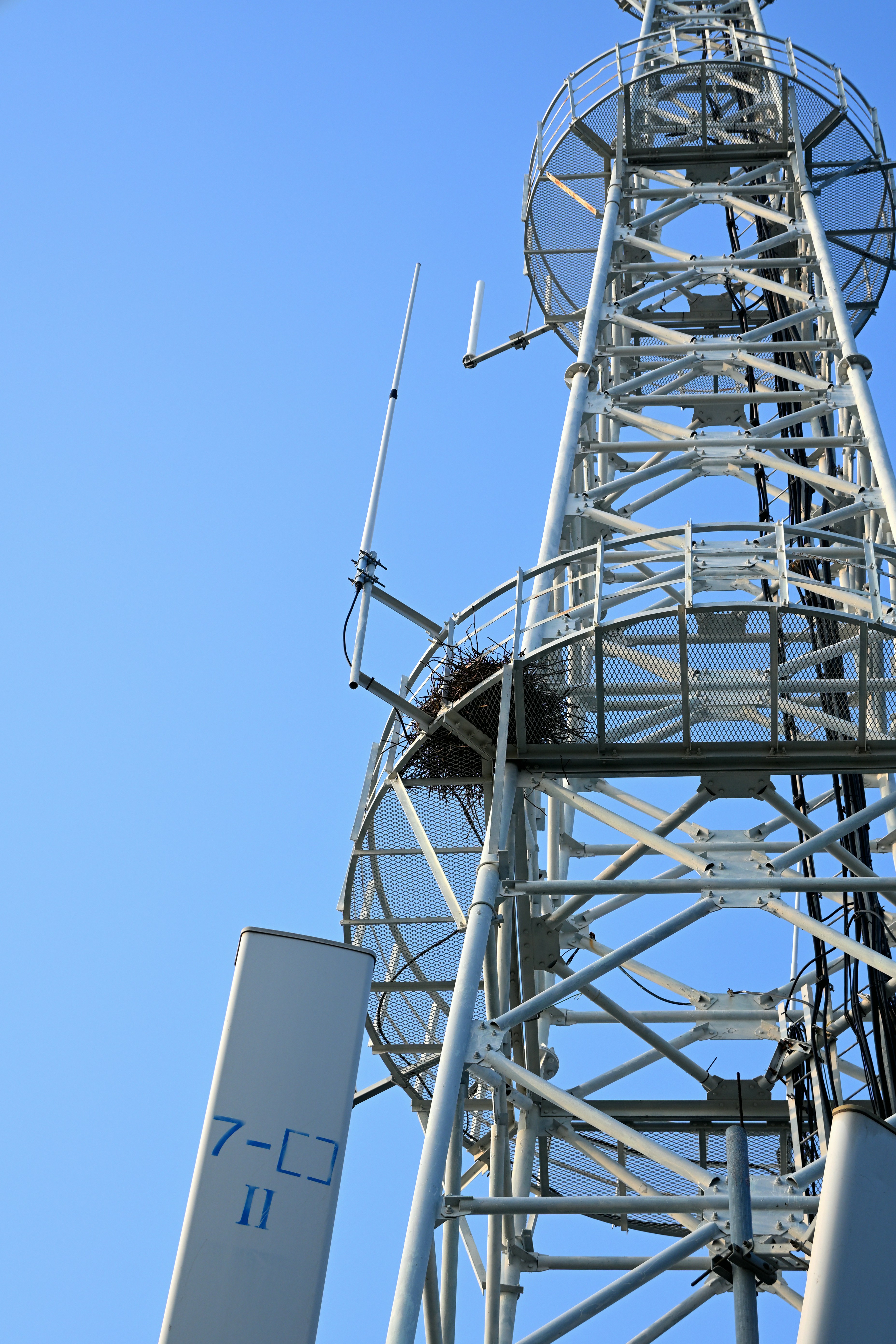 Network Assets Management & Optimization