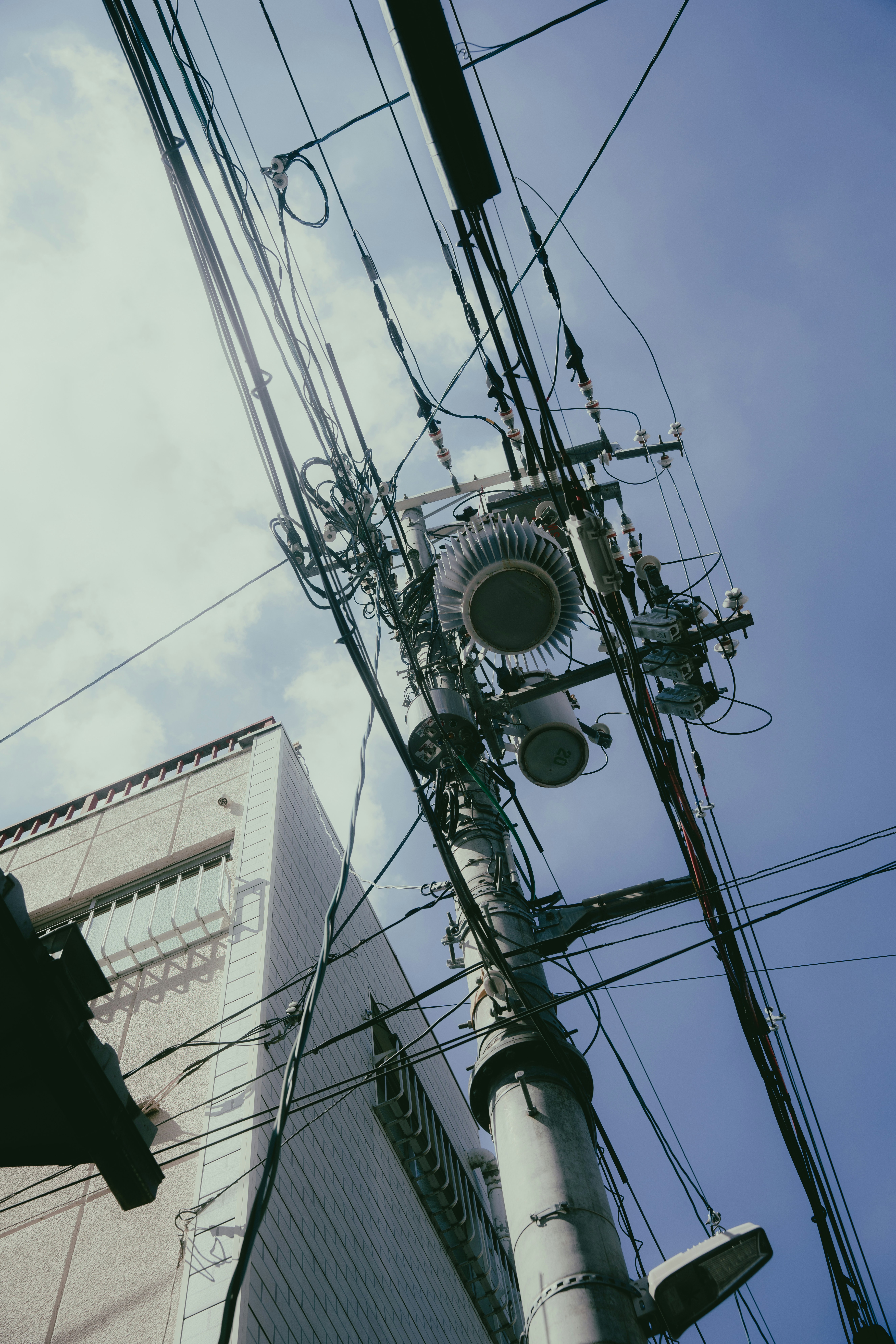 Import and Export Services